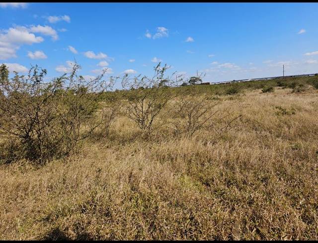 FARM FOR SALE IN RATHIDILI